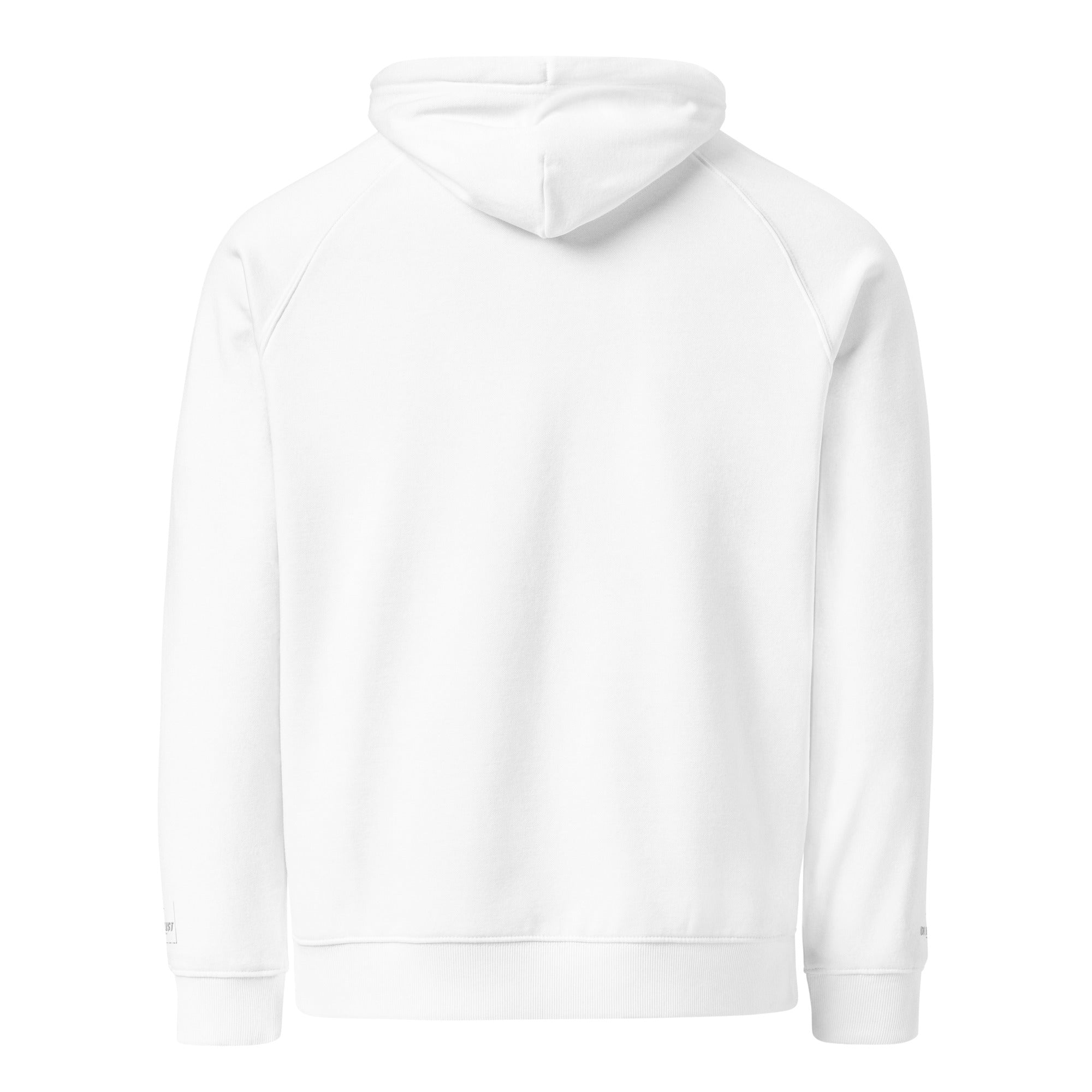 eco raglan hoodie jumpers